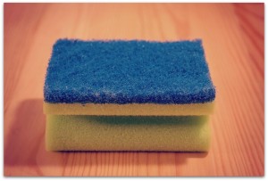 sponge