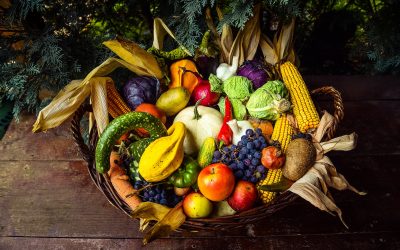 La demande croissante pour les produits bio et les alternatives aux pesticides chimiques