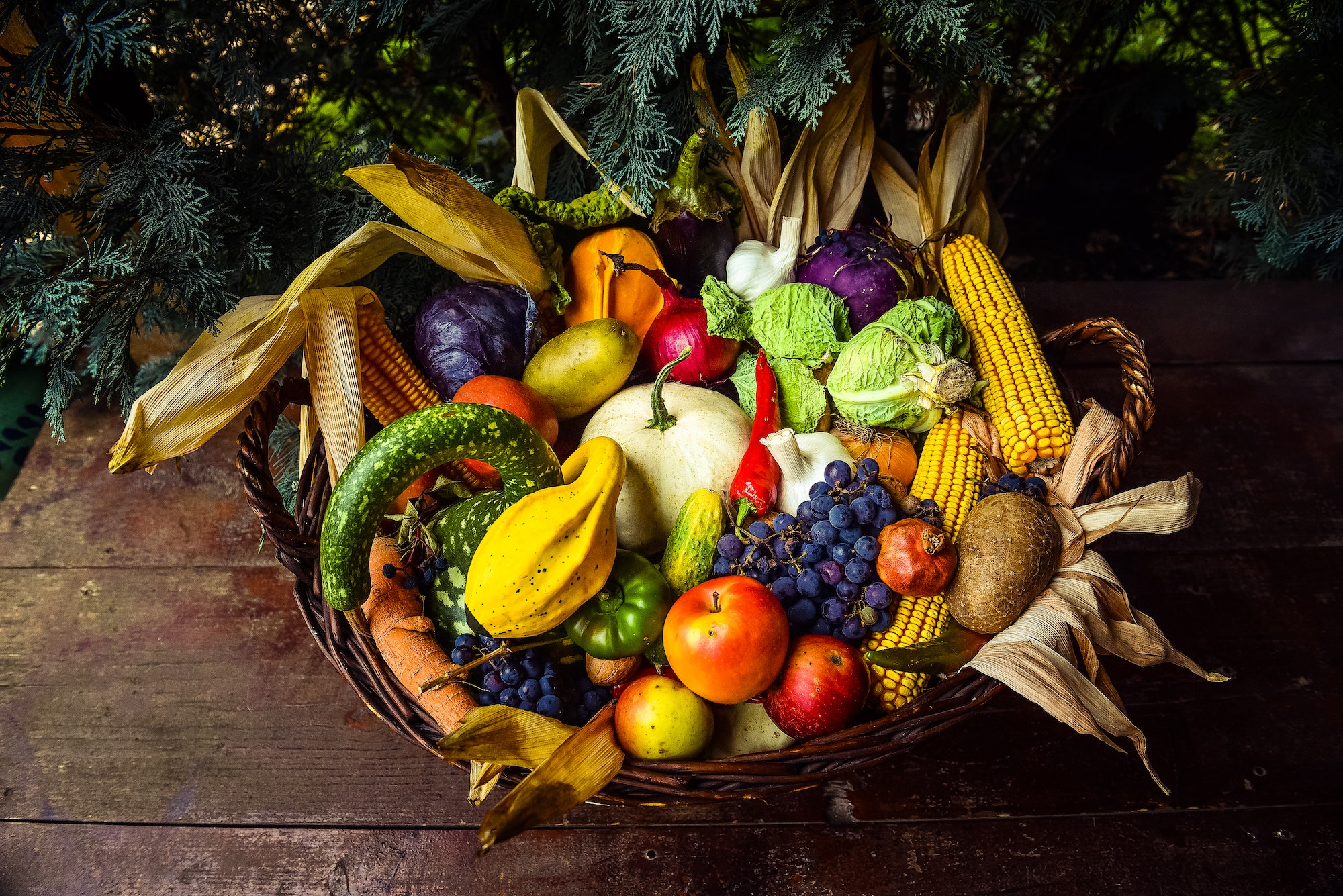 Fruits et légumes bio