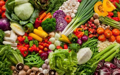 Carrés croustillants aux légumes : snack sain et savoureux