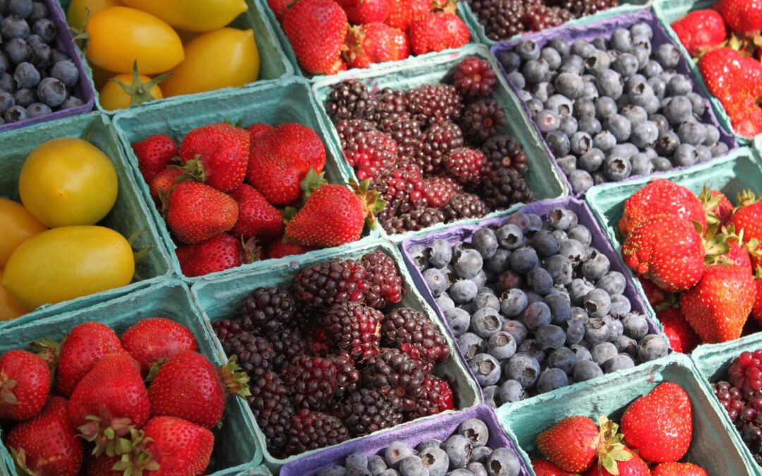 L’essor des marchés locaux et bio dans les villes
