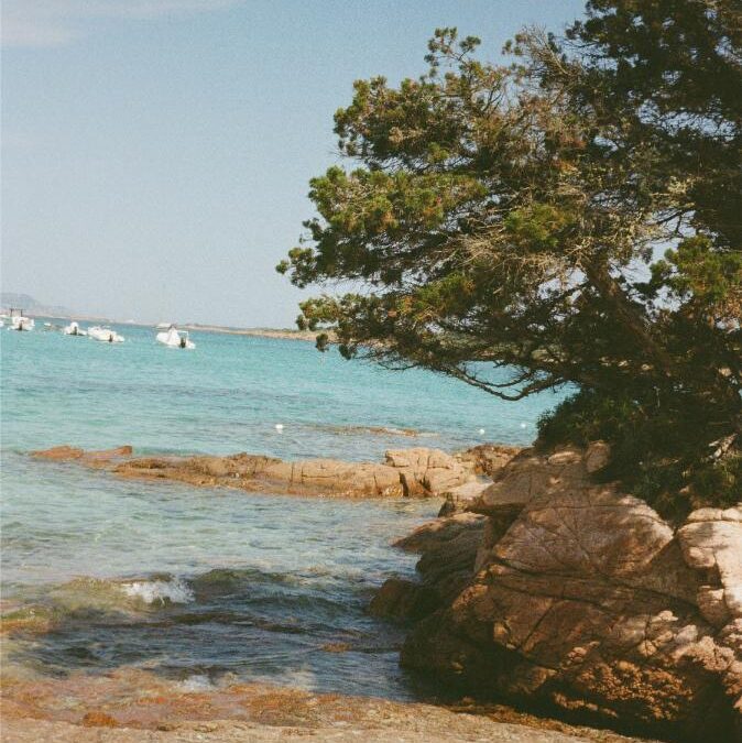 Restaurant à Calvi : découvrez l’expérience gastronomique de La Signoria